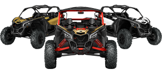 БАГГИ CAN-AM SSV 2021